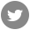 Twitter brand icon