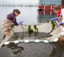 Over $11 Million Awarded to Science and Resilience Institute at Jamaica Bay