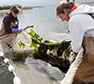 Brooklyn College Receives $500,000 From NOAA To Promote Coastal Resilience Through Environmental Literacy