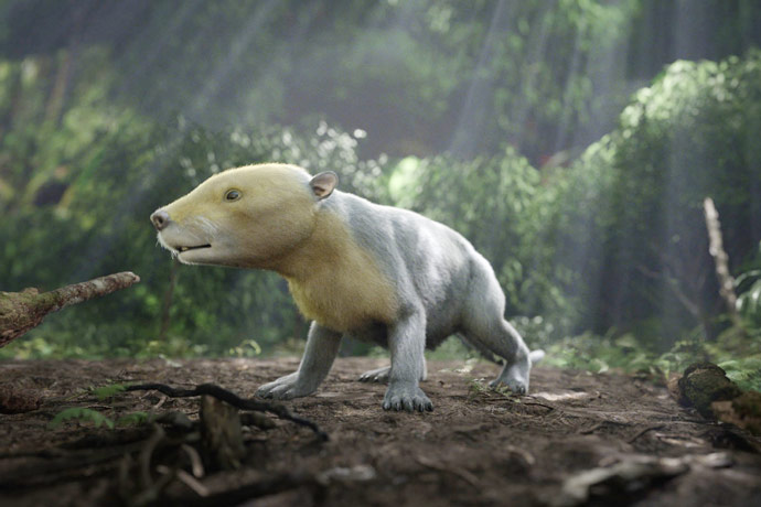 CGI rendering of ancient Taeniolabis mammal taken from the PBS NOVA special, Rise of the Mammals. (HHMI Tangled Bank Studios)