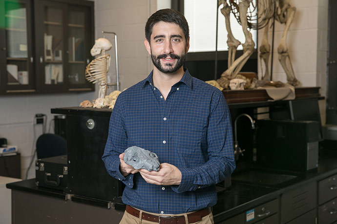 Stephen Chester holds a replica of one of the largest mammal cranial fossils that was found during the expedition. It was created from the 3-D printer in his laboratory at Brooklyn College. (David Rozenblyum/Brooklyn College)