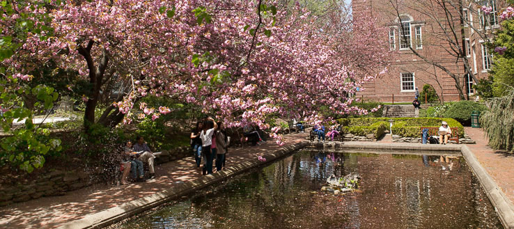 Our campus is beautiful in any season.